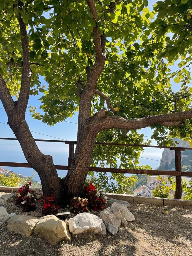 Casa Enzo Con Vista Mare Apartment Амалфи Екстериор снимка